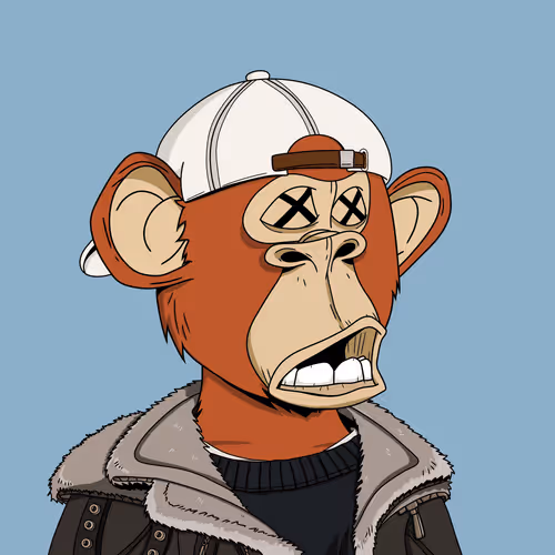 Bored Bears Official
