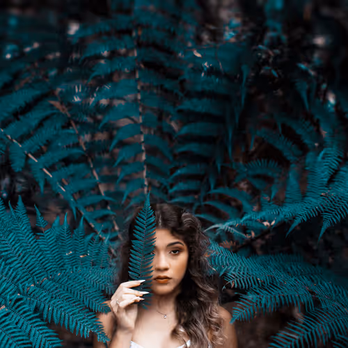 Enchanted World Collection V2