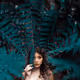 Enchanted World Collection V2