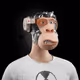 1197