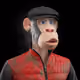 713