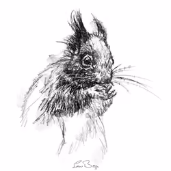Sketch By Anon #69