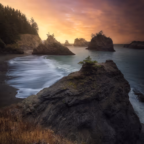 Editions By Jordan Inglee