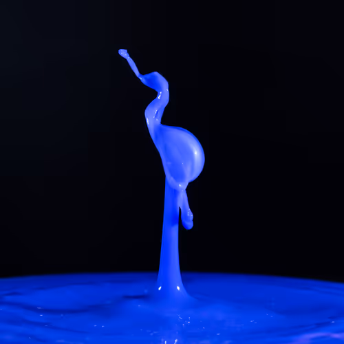 Splash Of Colour Rgb By The Balded Photographer