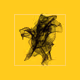 WEBNESS