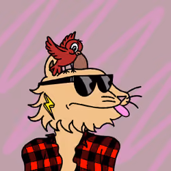 Meower #2441
