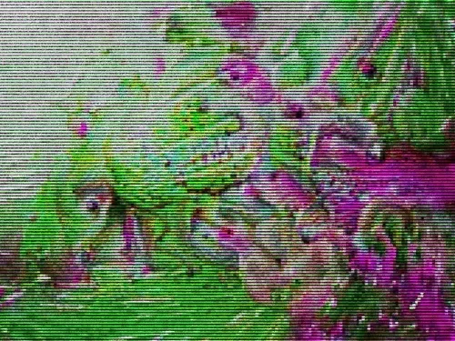 Item #12 Media