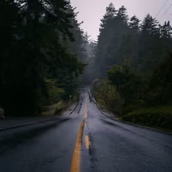 Lonely journey