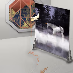 CosmoChamber phase4