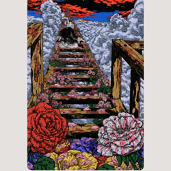 Bloom 110