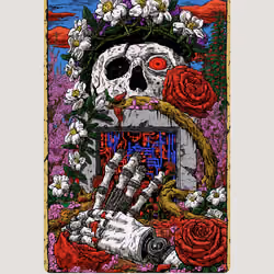 Bloom 212