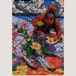 Bloom 434