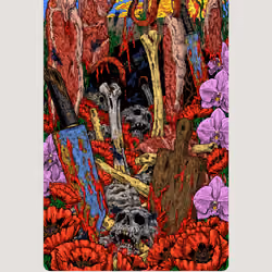 Bloom 85