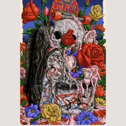 Bloom 581