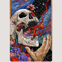 Bloom 132