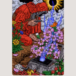 Bloom 14