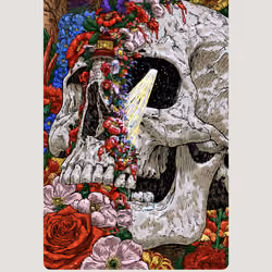 Bloom 286