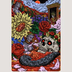 Bloom 627