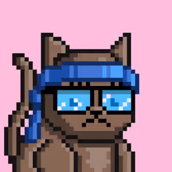 MoonCatz #19