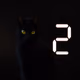 113