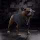 2437
