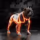 1481