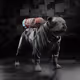 2849