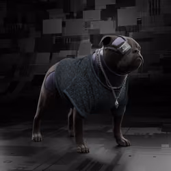 Cydog86 #2871