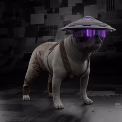 Cydog86 #653
