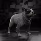 2734
