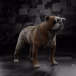 Cydog86 #492