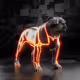 1251