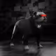 2398