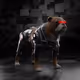 2848