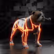 3098