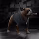1267