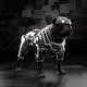 1414