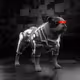 559