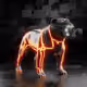3012