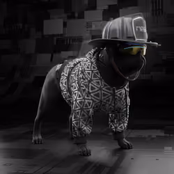 Cydog86 #351