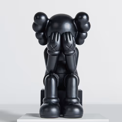 Kaws X Arr20