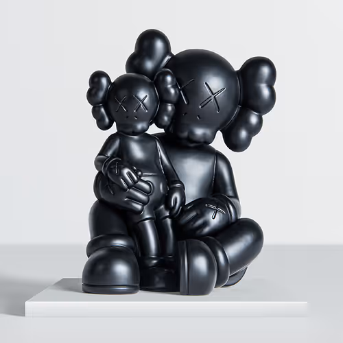 Kaws X Arr20