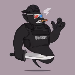 OGenie 1008