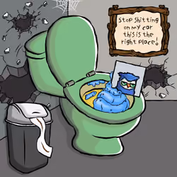UsedToilet #990