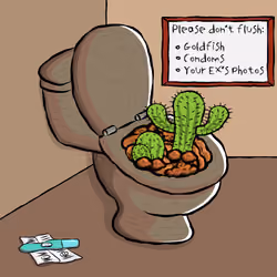 UsedToilet #1553
