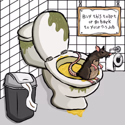 UsedToilet #1115