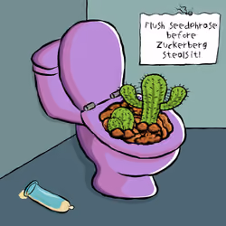 UsedToilet #5384