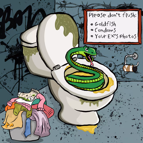 Usedtoiletswtf