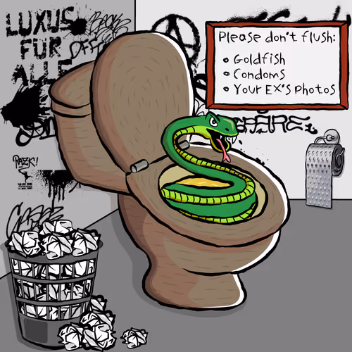 Usedtoiletswtf