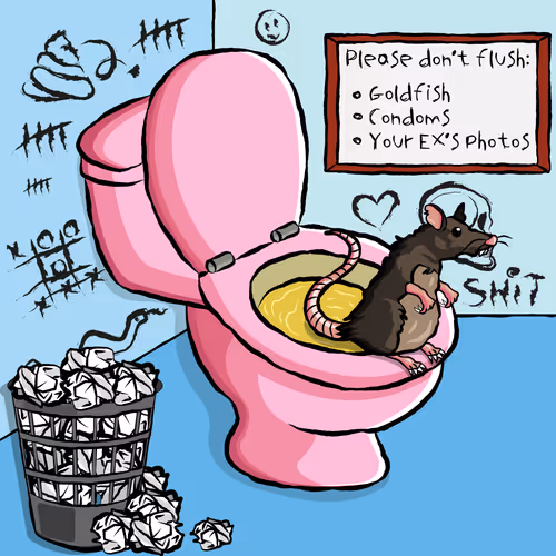 Usedtoiletswtf